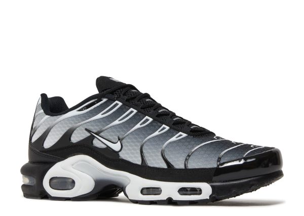 Air Max Plus 'Black Metallic Silver'
