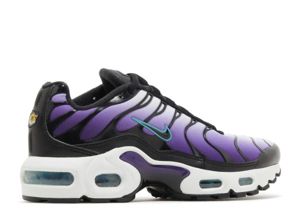 Air Max Plus GS 'Reverse Grape'