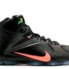 LeBron 12 'Data'
