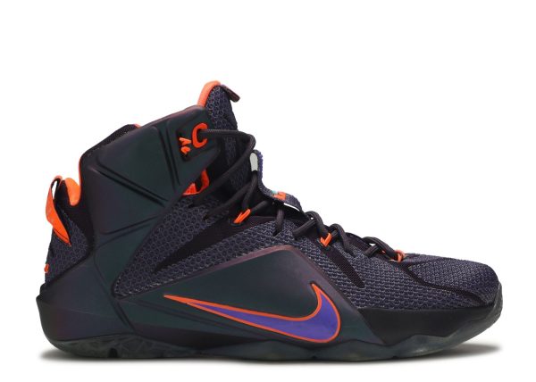 LeBron 12 'Instinct'