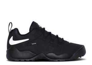 Supreme x Darwin Low SB 'Black'