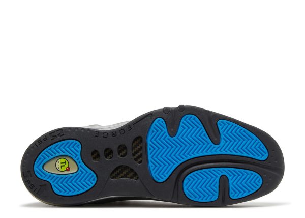 Total Air Foamposite Max 'Metallic Silver' 2011