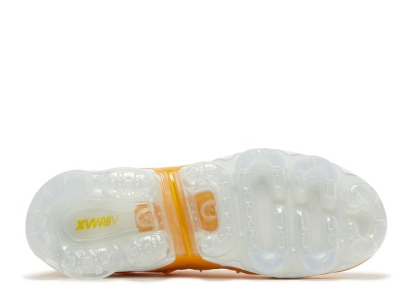 Wmns Air VaporMax Plus 'Go The Extra Smile'